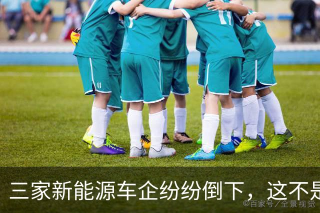 三家新能源车企纷纷倒下，这不是价格战，是蓄谋已久的资本大逃杀