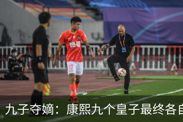 九子夺嫡：康熙九个皇子最终各自下场