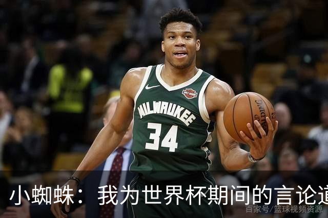 小蜘蛛：我为世界杯期间的言论道歉，换作我是球迷也会生气