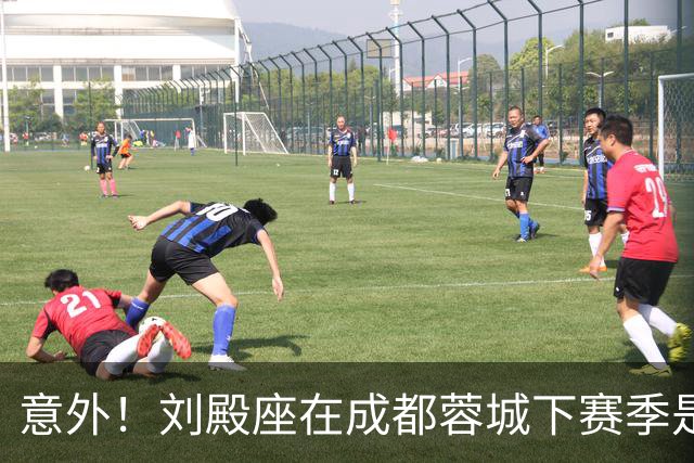 意外！刘殿座在成都蓉城下赛季是否留队还不确定？原因引发热议