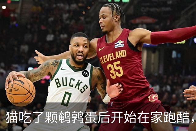 猫吃了颗鹌鹑蛋后开始在家跑酷，从客厅到厨房来回冲刺半小时，主人吓到发帖问“是不是吃坏了”，想不到评论区全是懂猫咪的“知音”